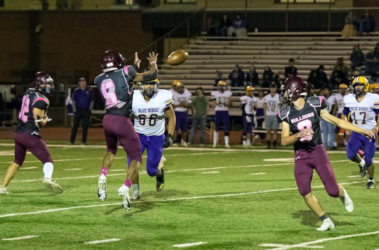 Photo by Richard LarsonNo. 5 Bulldog Micah Johnson makes the catch as the Bulldogs went up against the Blue Ridge Yellowjackets last week. The Bulldogs ultimately lost to the Yellowjackets, 7-28.