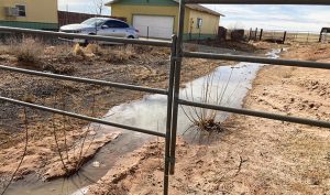 Photo by Connie RichardsThe drainage ditch behind Blue Sage Street in Holbrook became a health hazard last week when a sewer blockage caused raw sewage to come out behind residences along that road. According to resident Connie Richards, the sewage was there for more than a week before city employees were able to resolve the problem. When Richards gained no response from city officials to the problem, she reached out to county and state representatives. When asked regarding the matter City Manager Ted Soltis stated employees were addressing the issue that the blockage was finally discovered last Thursday on Mission Lane and the ditch cleaned out and sanitized.