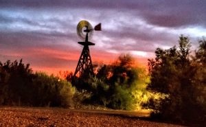 Photo by Lawrence KennaWinslow residents will recognize this familiar windmill from the city’s First Street Park. It, along with historic buildings and prominent landmarks line the six-block pathway that marks the Hubbell Building on the west end and the La Posada Hotel on the east end of the city’s downtown tourist center.