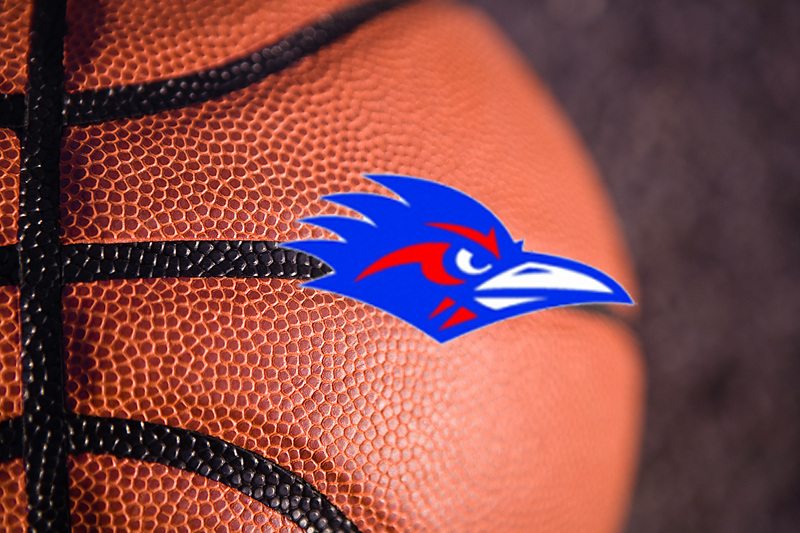 basketball Holb