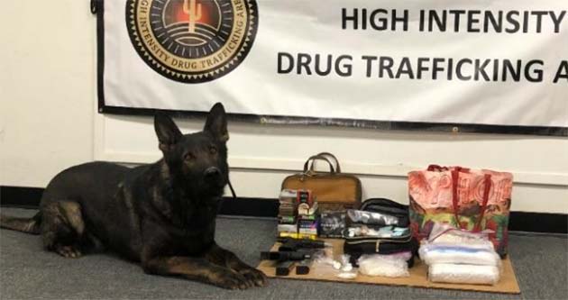 Photo courtesy of Navajo County Sheriff’s OfficeK-9 Kilo is pictured here with a large seizure of illegal drugs.