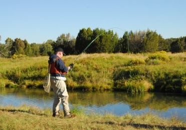 Silver Creek fishing