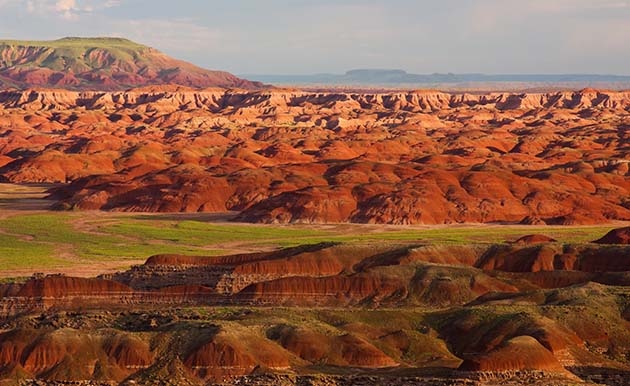 Photo by Stuart Holmes/NPSThe monsoon rains have brought an abundance of moisture to the region, resulting in greenery not seen for quite some time. A gorgeous example of this is at the north unit of the Petrified Forest National Wilderness Area, where it has created an even more spectacular view for visitors to the park.