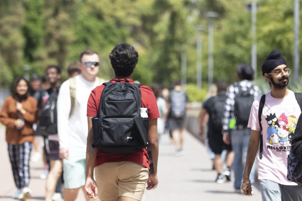N5 Student loan forgiveness