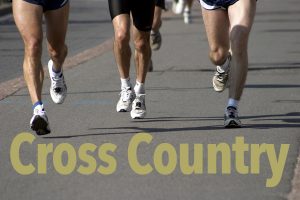Cross Country 2