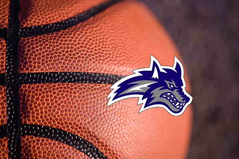 basketball Snow