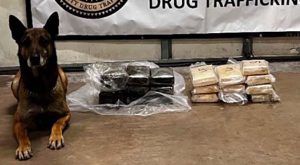 Photo courtesy of Navajo County Sheriff’s OfficeK-9 Zolton has another big drug seizure along I-40, with two suspects taken into custody.