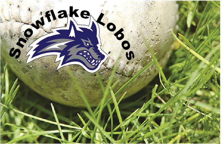 Softball 1 Snowflake