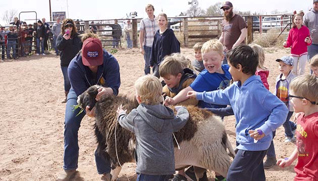 Photo by Linda KorJoseph City celebrated Founders Day and the 100th year of the town’s dam, with food, fun and gathering of community. As part of the festivities these youngsters chased down a “money sheep” to earn cash.