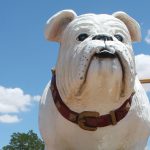 Winslow Bulldog3