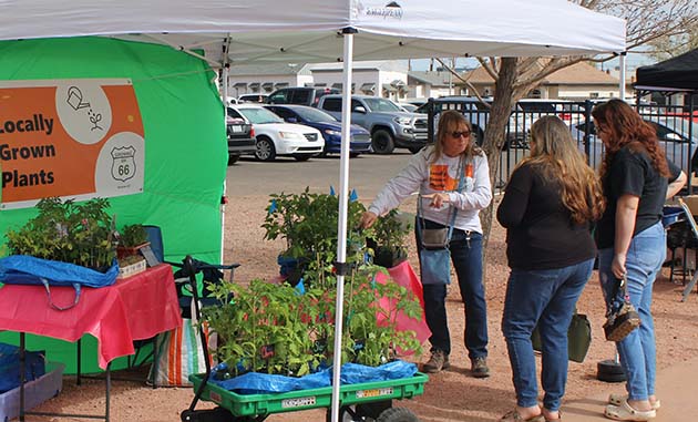 Photo by Shawn WhiteBerry Larson (left) from Growing on 66 speaks to farmers market patrons about growing tomatoes.