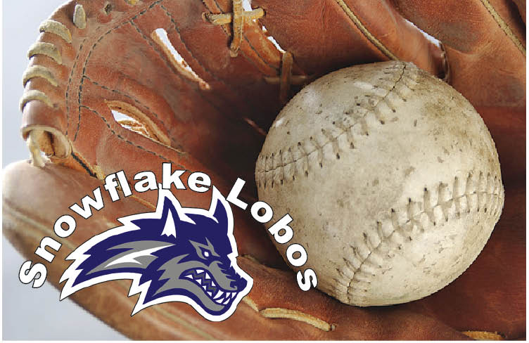 Softball 2 Snowflake