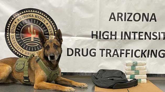 Photo courtesy of the Navajo County Sheriff’s OfficeK-9 Zolton’s sharp senses alerted deputies to 11.5 pounds of cocaine during a traffic stop on I-40.