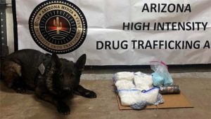 Photo courtesy of the Navajo County Sheriff’s OfficeNCSO K-9 Kilo’s sharp senses led to the discovery of an estimated $400,000 in drugs during a traffic stop.