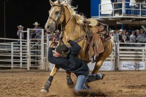 Photos by Jonathan AustenProfessional photographer Jonathan Austen caught these moments that had six thousand people at the Pioneer Days Rodeo at the Taylor Rodeo Grounds collectively holding their breath. Kash Perkins is trampled by two horses when he dives from his horse to try and win the Keg Race. He came up second, and walked away unhurt. To see more of his great photography of rural life in the region, visit www.lifeinruralamerica.com.