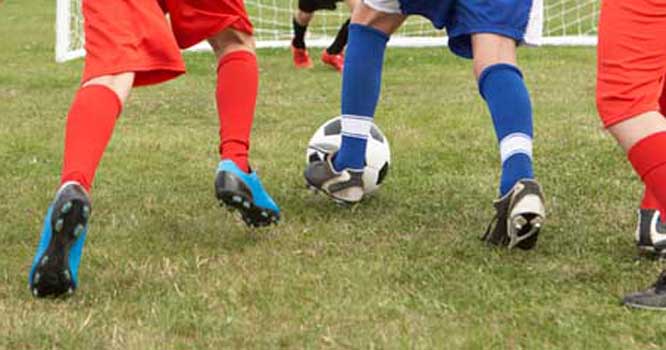 Lobos’ soccer takes state championship