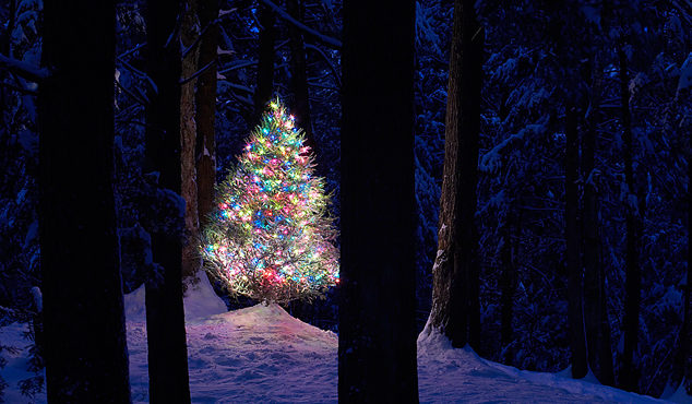 christmas tree